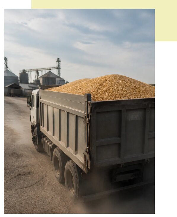 Перевозка сельхозпродукции навалом в Полысаево по цене от 3085 р. | Агросервис-Плс
